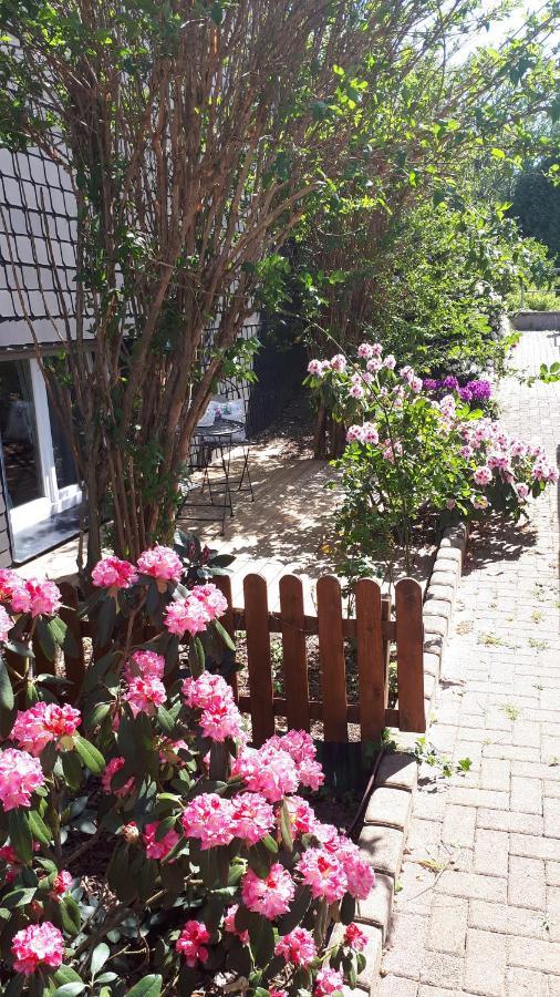 Ferienwohnung 43Qm Torf 10 Naehe Moehnesee Warstein Buitenkant foto